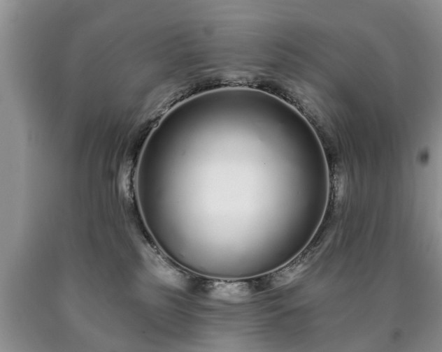 X0000090610185200707241114