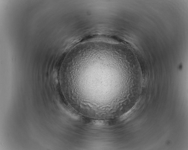 X0000090610187200707241114