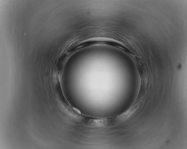 X0000090610188200707241114