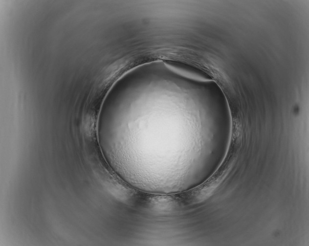 X0000090610189200707241114