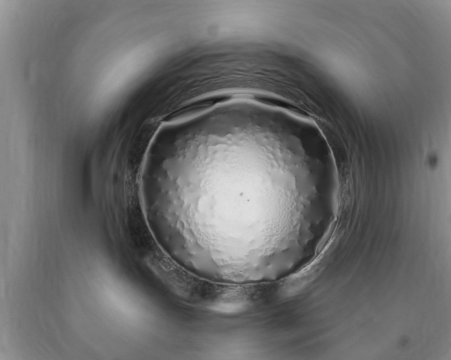 X0000090610191200707241114