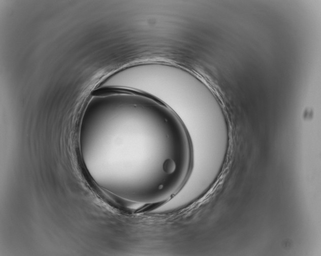 X0000090610193200707241114