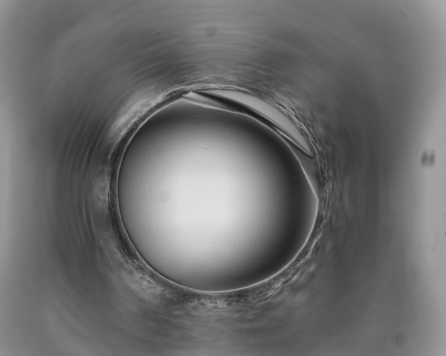 X0000090610194200707241114