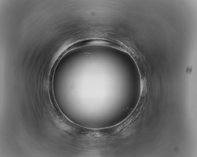 X0000090610195200707241114