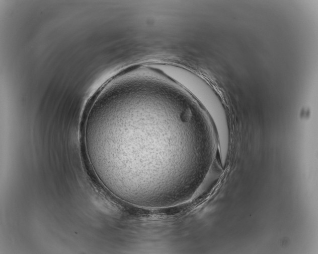 X0000090610196200707241114