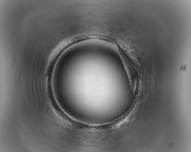 X0000090610197200707241114