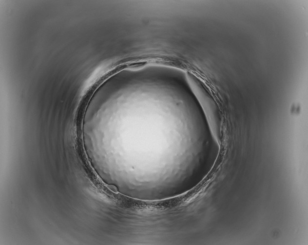 X0000090610198200707241114