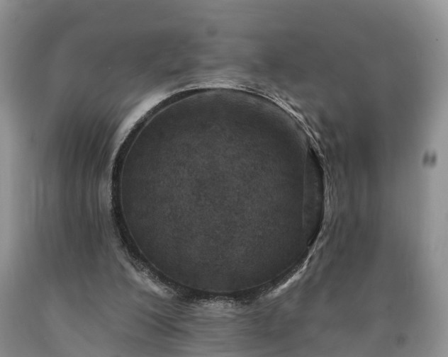 X0000090610200200707241114