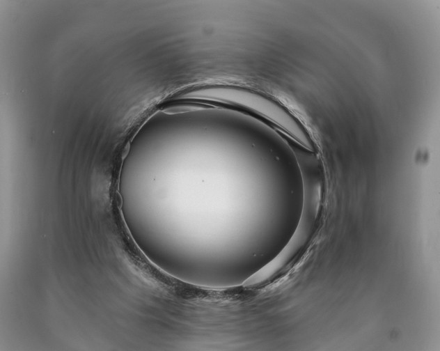 X0000090610201200707241114