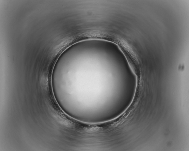 X0000090610202200707241114