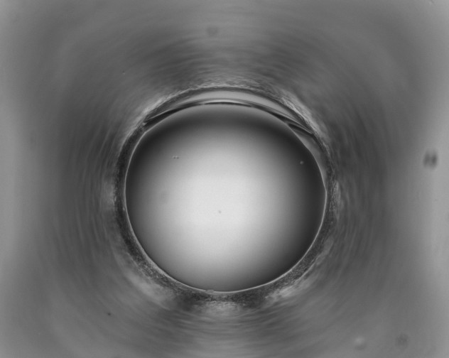 X0000090610203200707241114