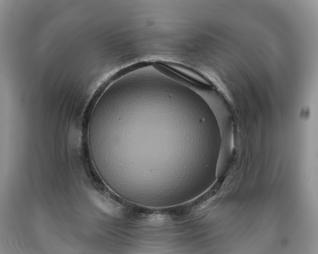 X0000090610204200707241114