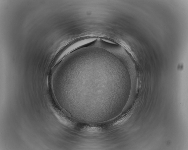 X0000090610205200707241114