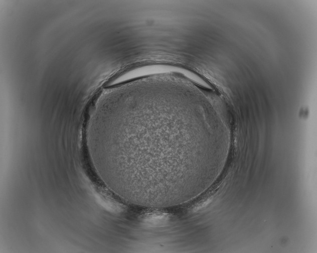 X0000090610206200707241114