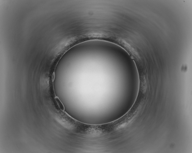 X0000090610207200707241114