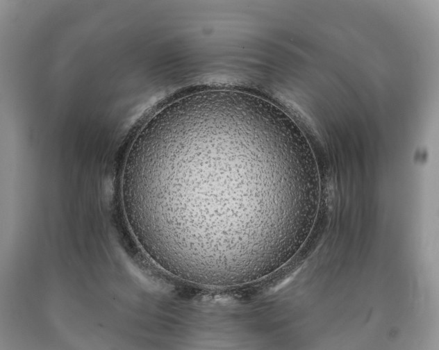 X0000090610208200707241114