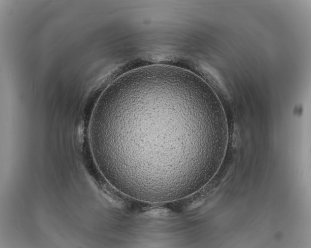 X0000090610210200707241114