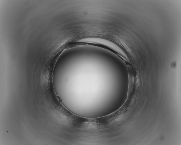 X0000090610211200707241114