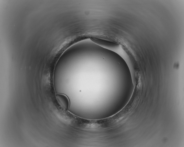 X0000090610212200707241113