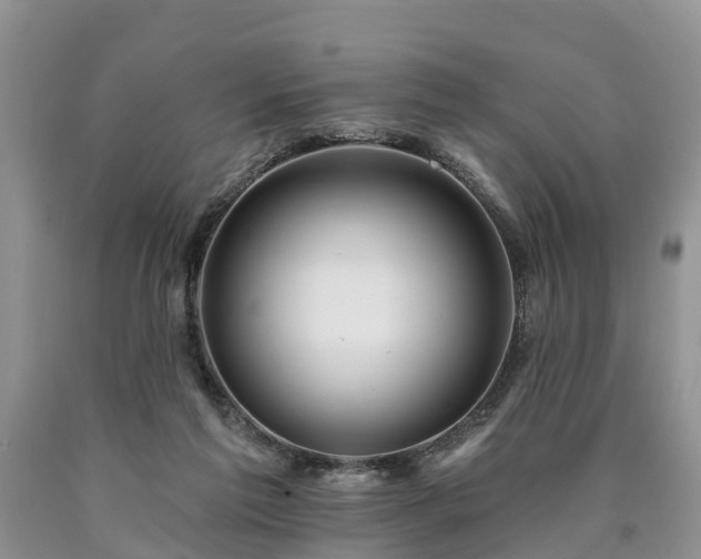 X0000090610213200707241113