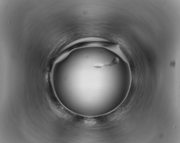 X0000090610214200707241113