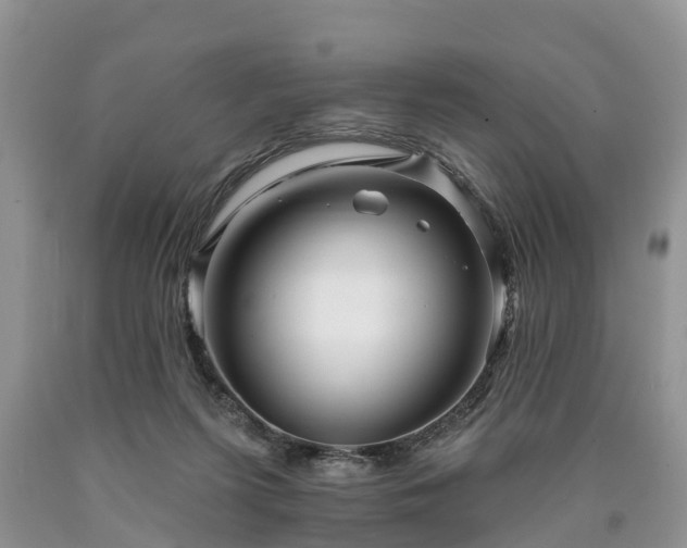 X0000090610215200707241113