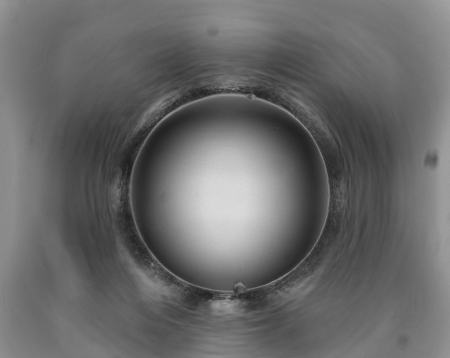 X0000090610216200707241113