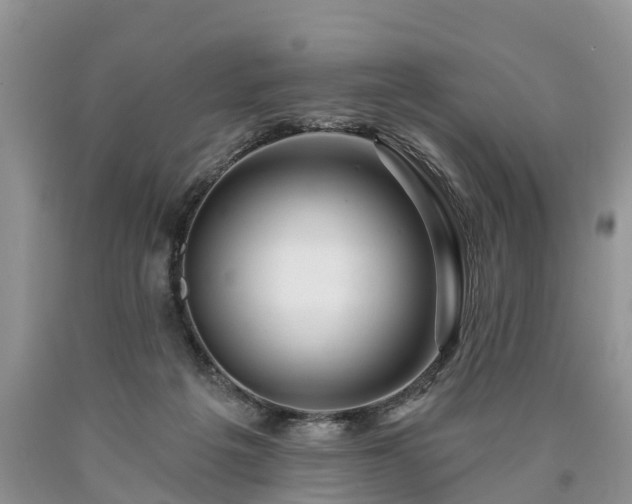 X0000090610217200707241113