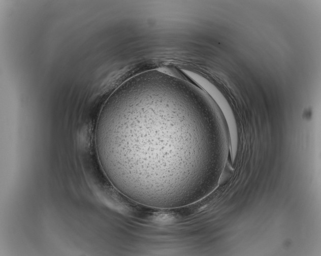 X0000090610218200707241113