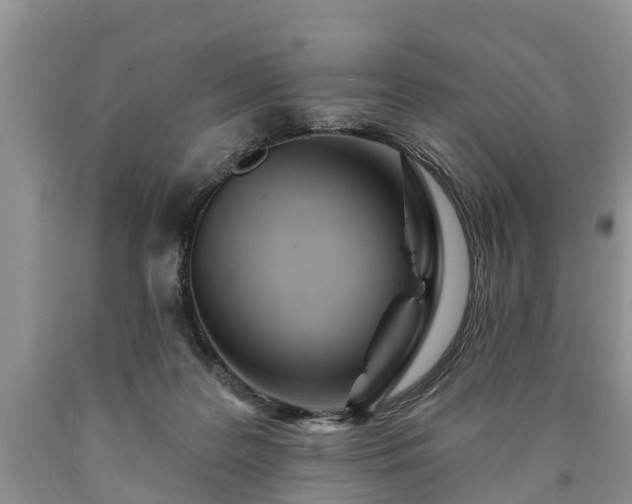 X0000090610219200707241113