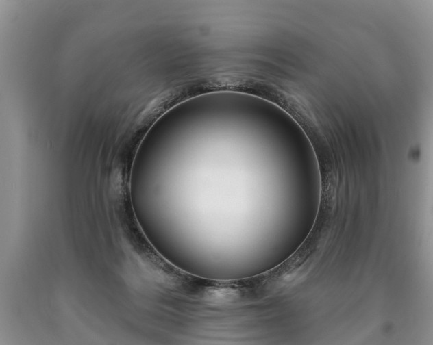 X0000090610220200707241113