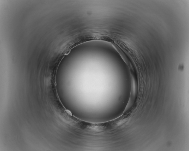 X0000090610221200707241113