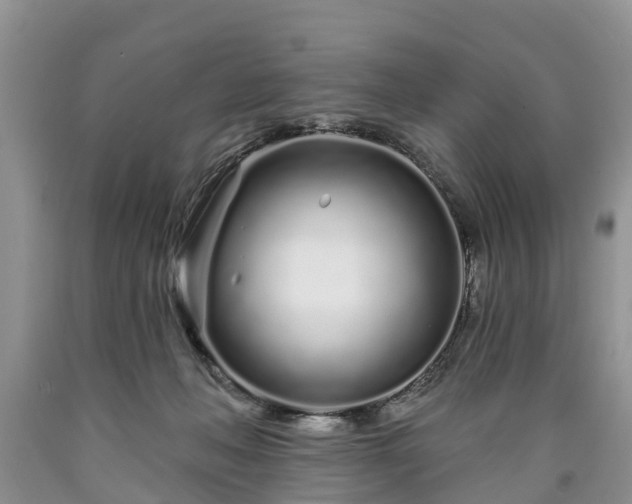 X0000090610222200707241113