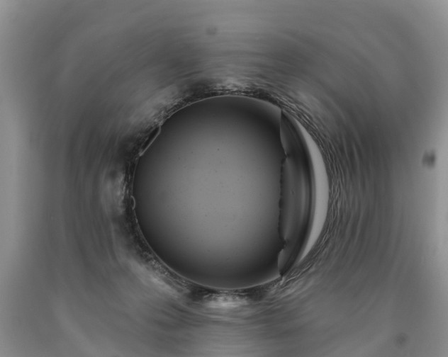 X0000090610223200707241113