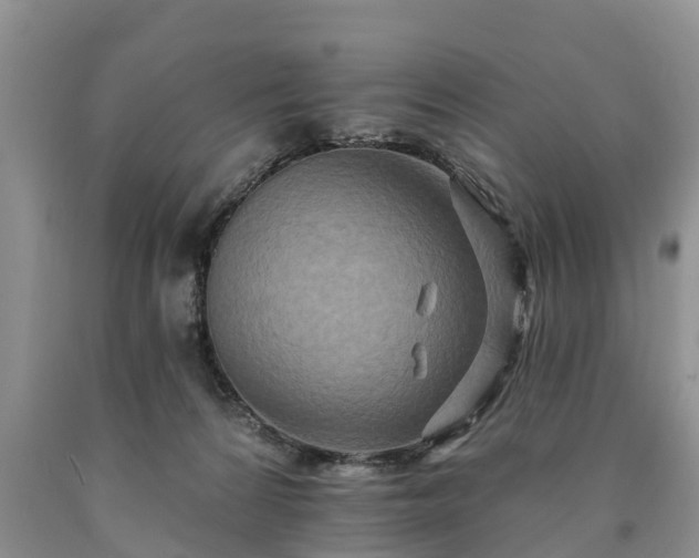 X0000090610224200707241113