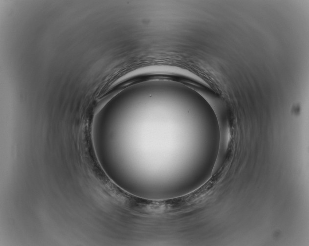 X0000090610225200707241113