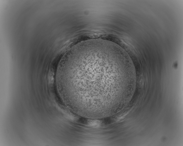 X0000090610226200707241113