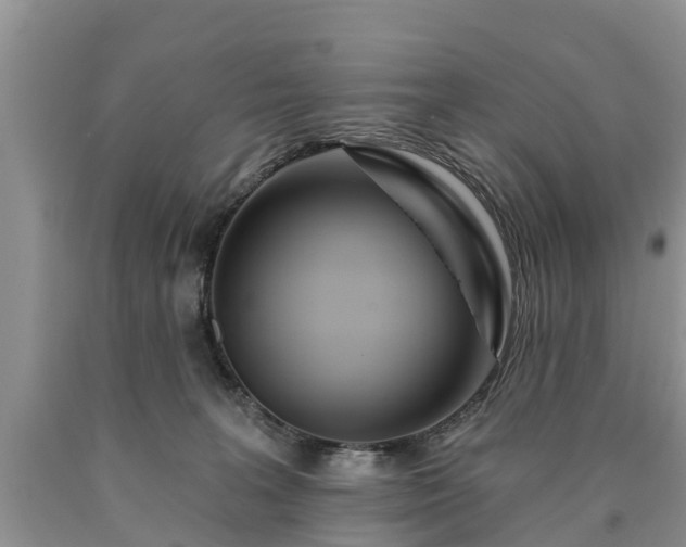 X0000090610227200707241113