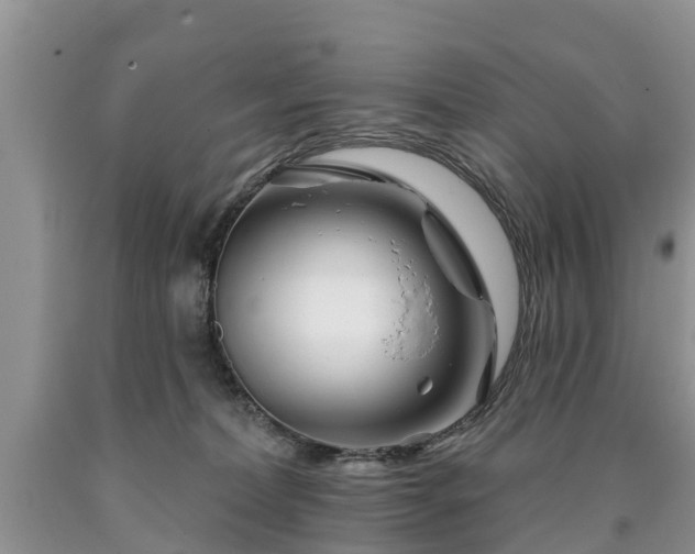 X0000090610228200707241113