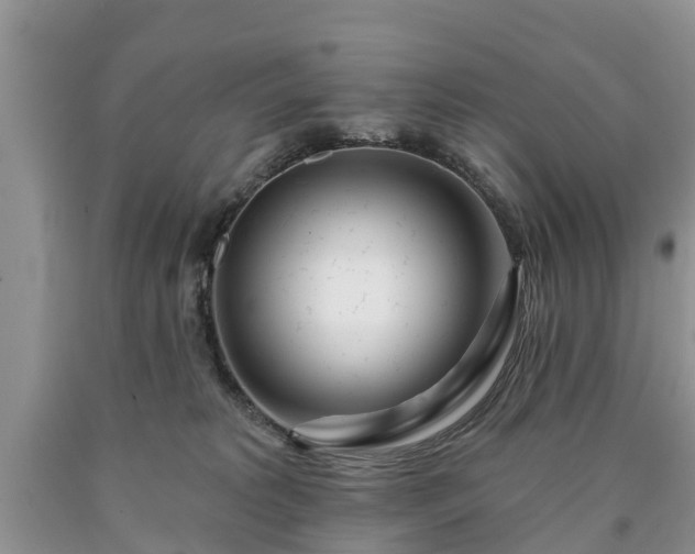 X0000090610229200707241113