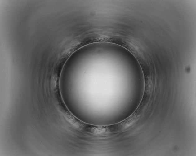 X0000090610230200707241113