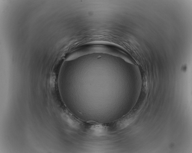 X0000090610231200707241113