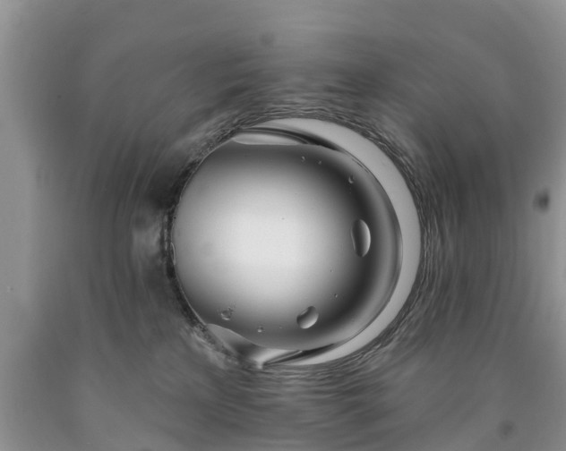 X0000090610233200707241113