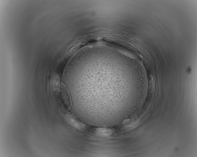 X0000090610234200707241113