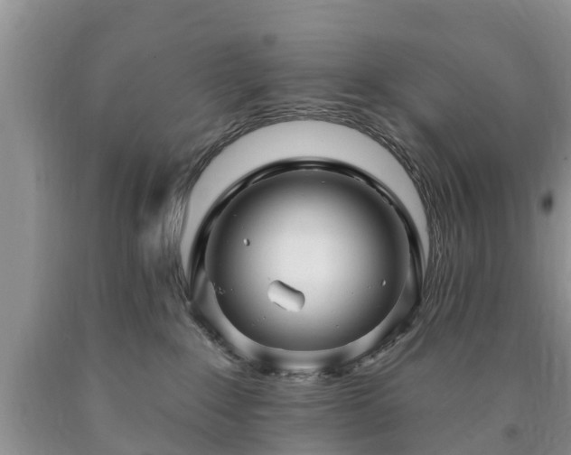 X0000090610235200707241113