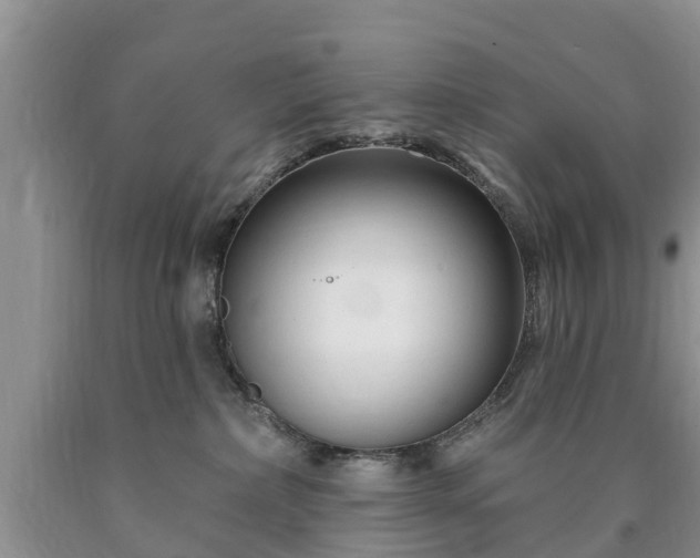 X0000090610236200707241113