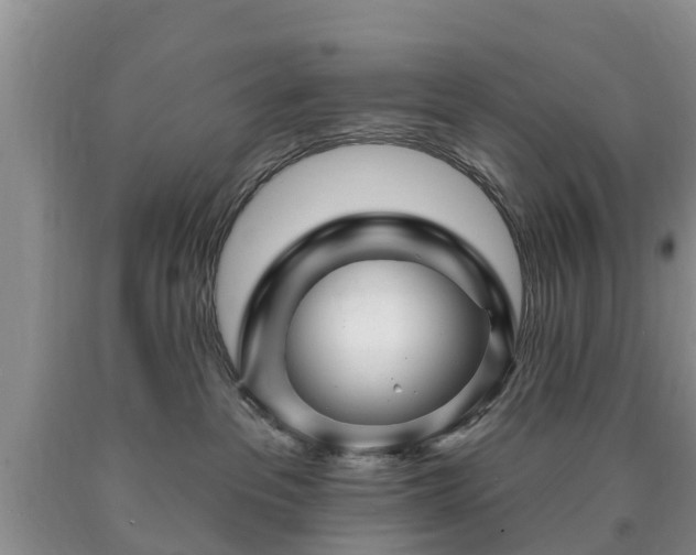 X0000090610237200707241113