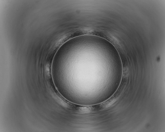 X0000090610238200707241113