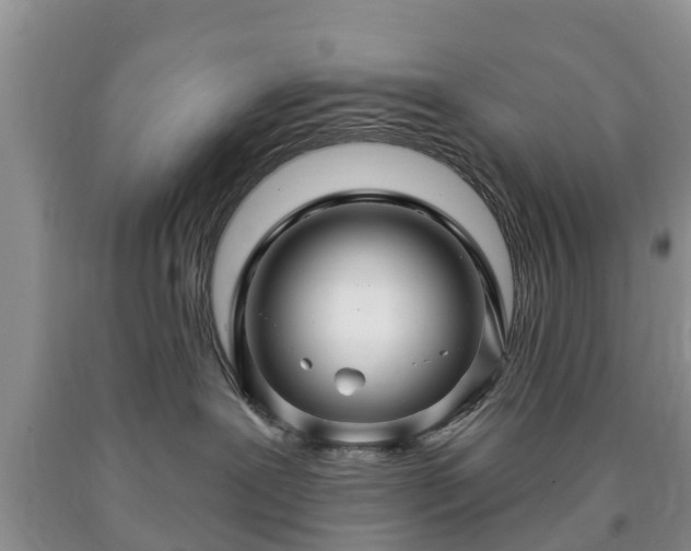 X0000090610239200707241113