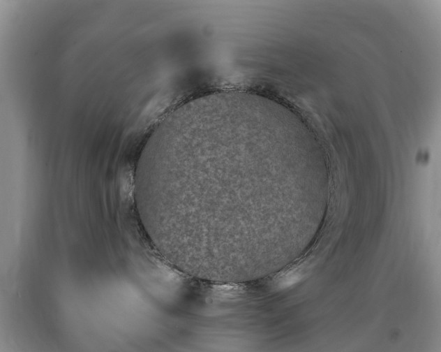 X0000090610240200707241113